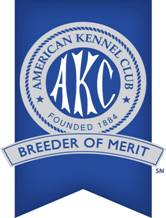 AKC Breeder of Merit Ribbon