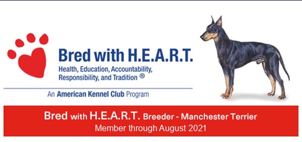 AKC Bred with HEART Banner