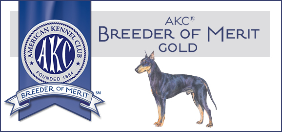 AKC Breeder of Merit Banner