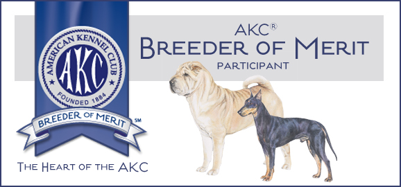 AKC Breeder of Merit Banner